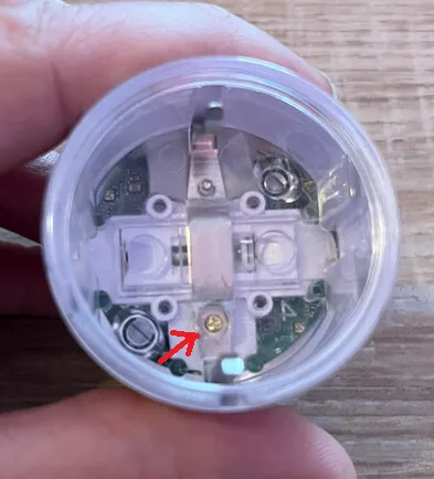 Seal